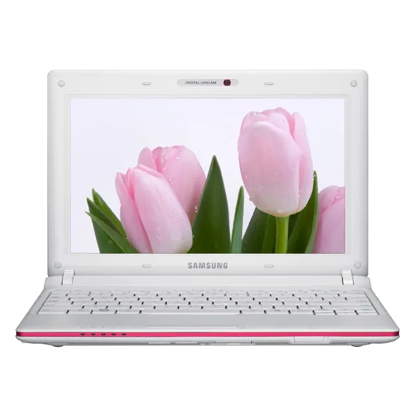 Ремонт петель крышки  Samsung N150-JP04