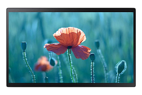Интерактивная панель Samsung QB13R-T